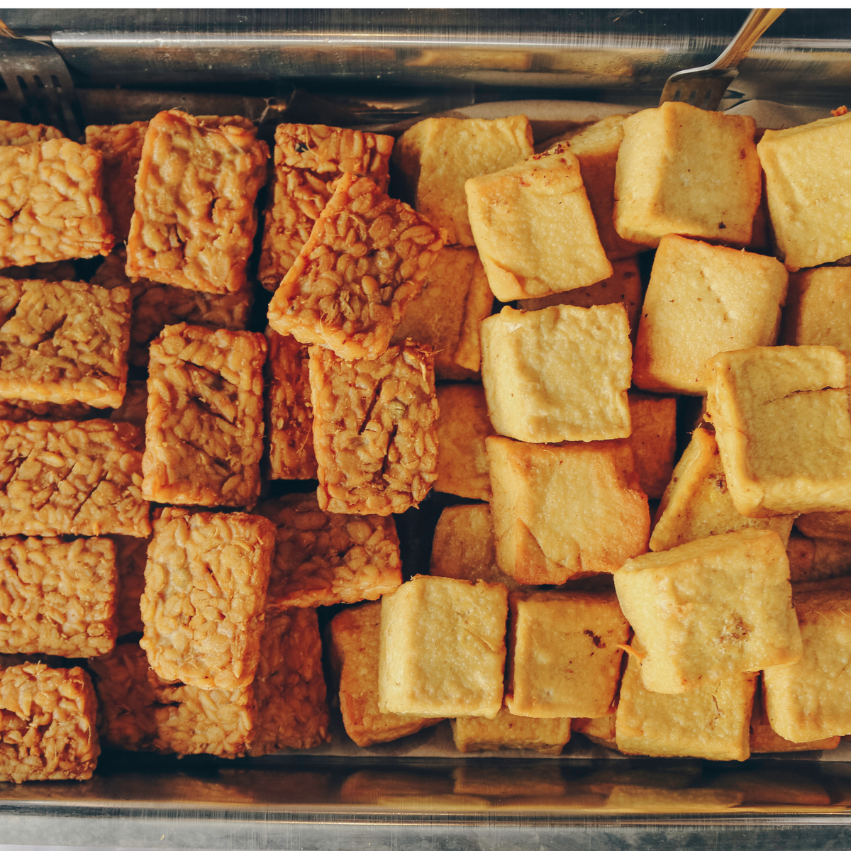 Transforming Tofu II: Now with Tempeh