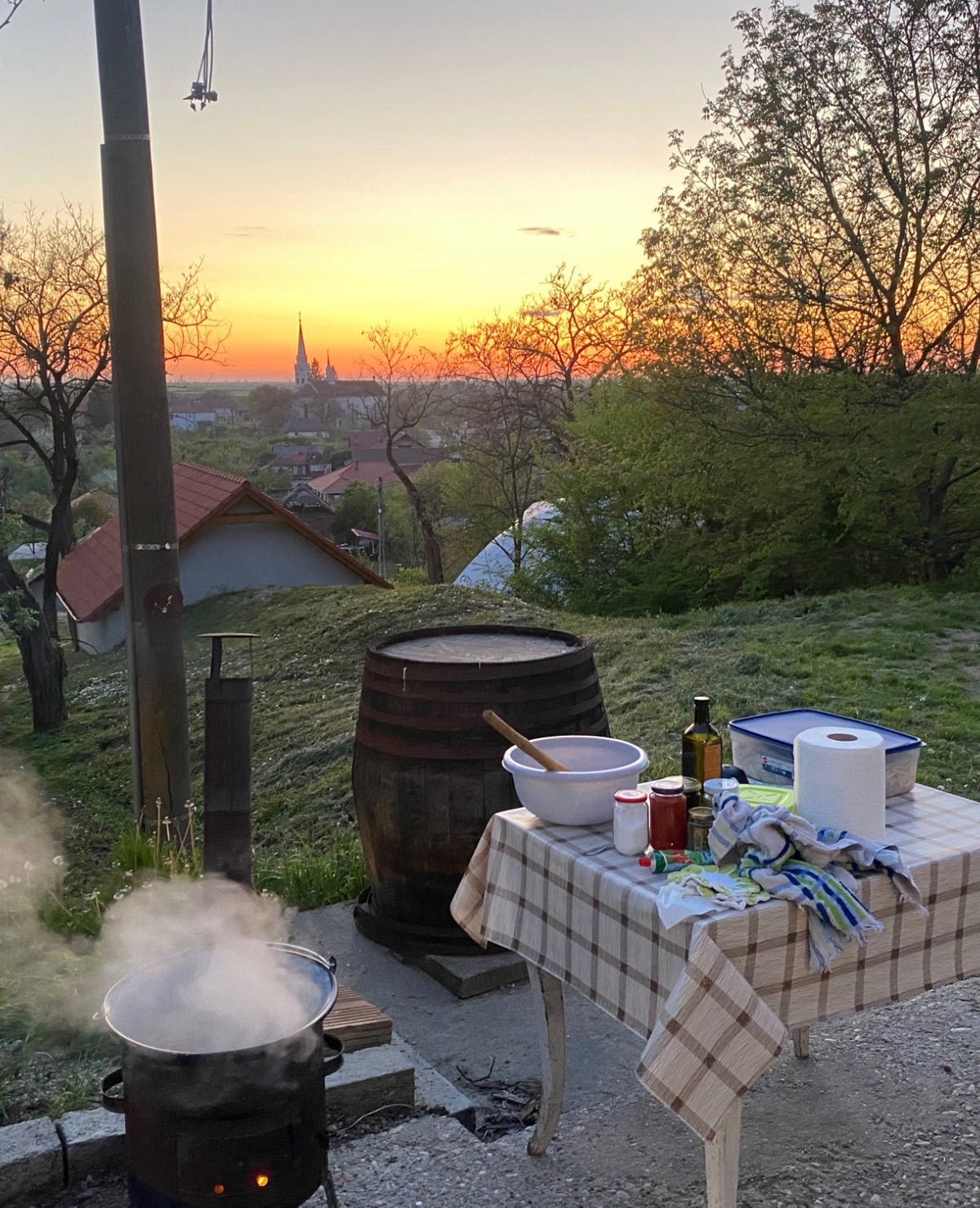 Transylvanian Wine Dinner