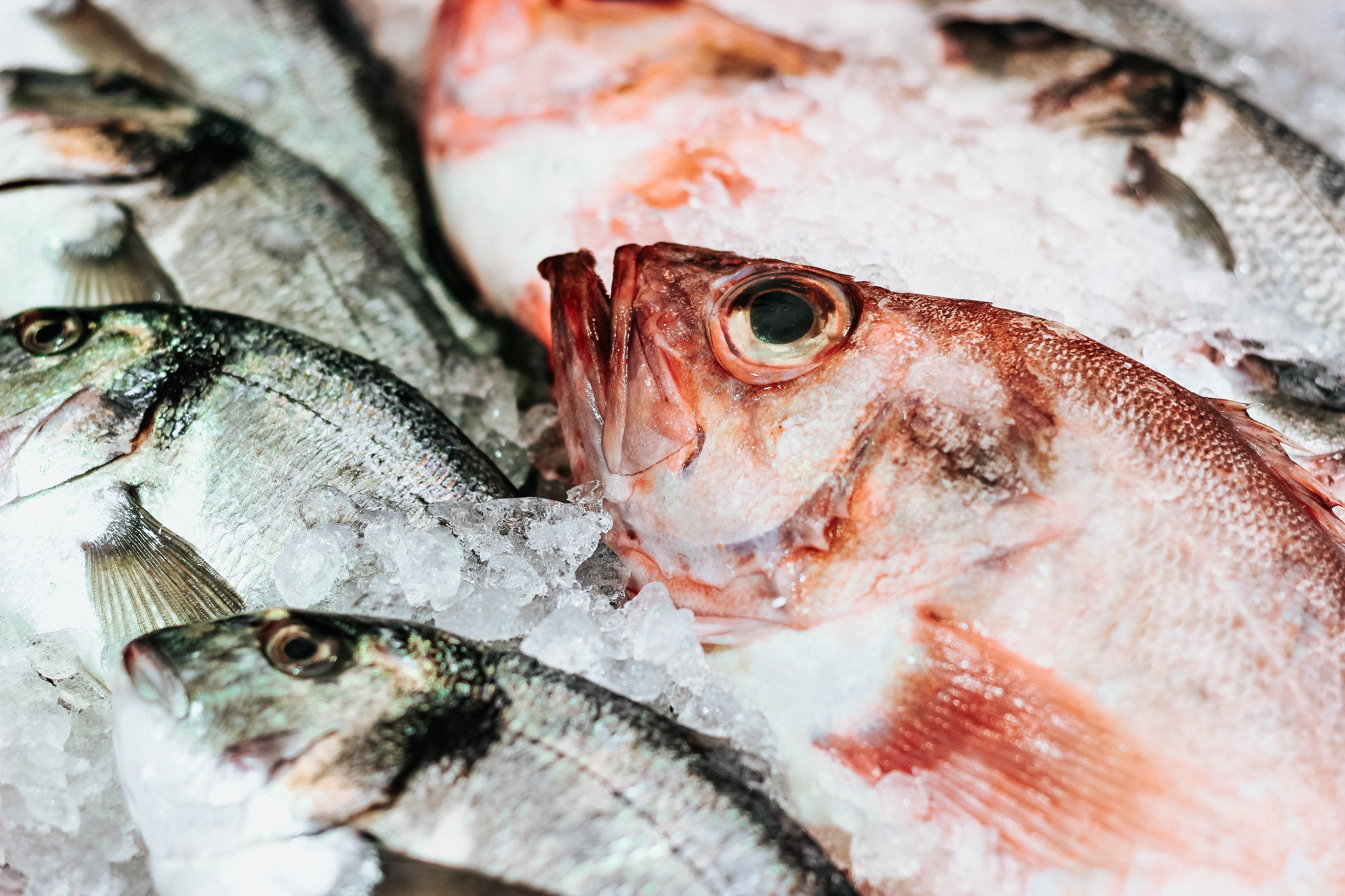 Cooking Class: How to Steam and Poach Seafood