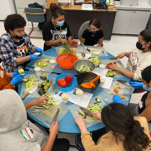 PHE Linda teaches teens to make sushi